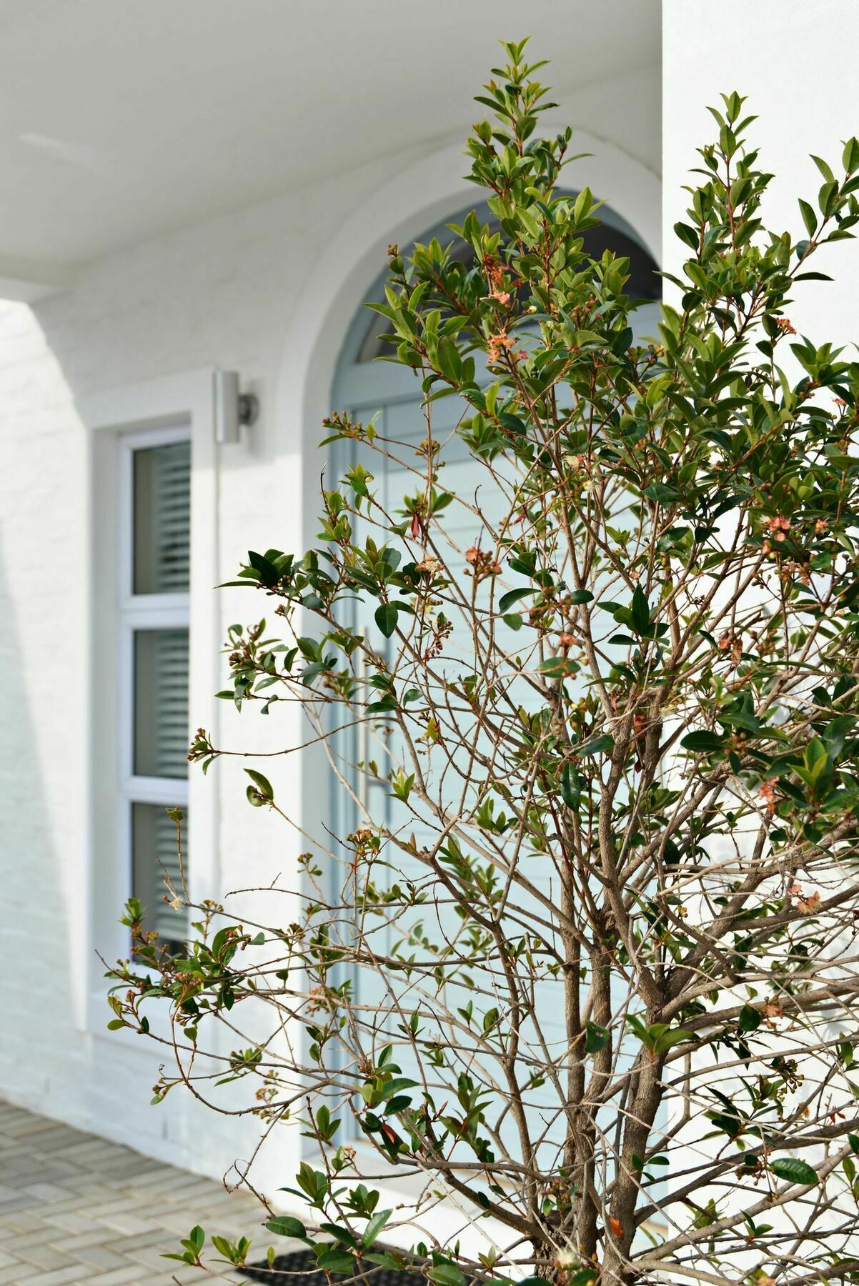 The Gables Hermanus Exteriér fotografie